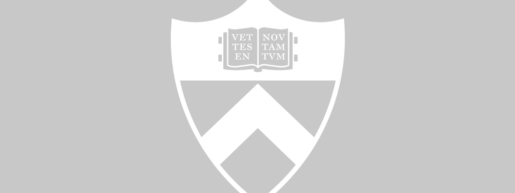 Sheild Placeholder