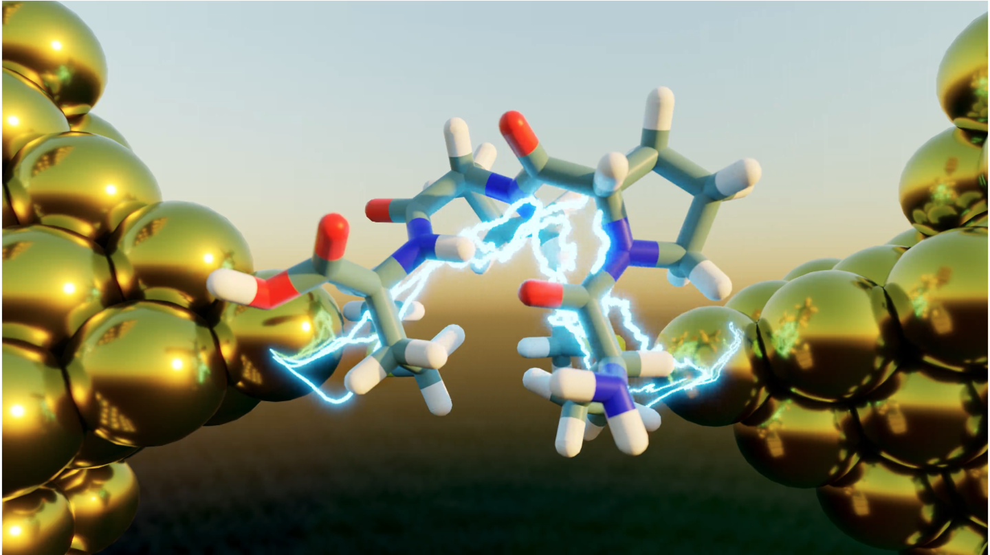 Peptide