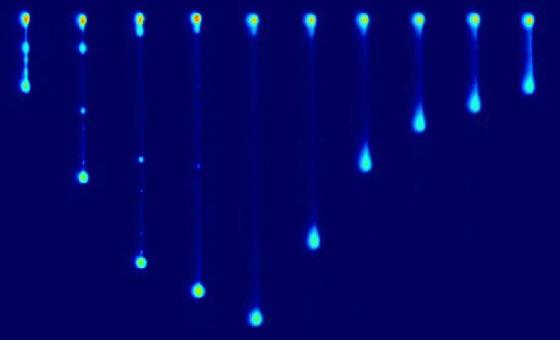 Vesicles in flow