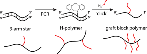Template Directed Synthesis
