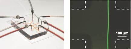 Fluidic Assembly
