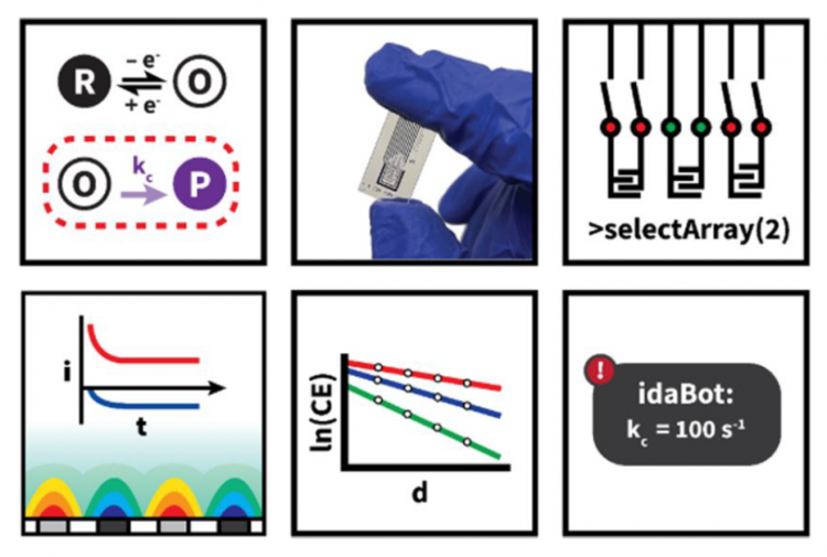 Automated Measurement of Electrogenerated Redox Species Degradation Using Multiplexed Interdigitated Electrode Arrays