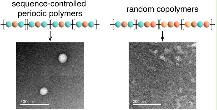 Self-Assembly of Repetitive Segment and Random Segment Polymer Architectures