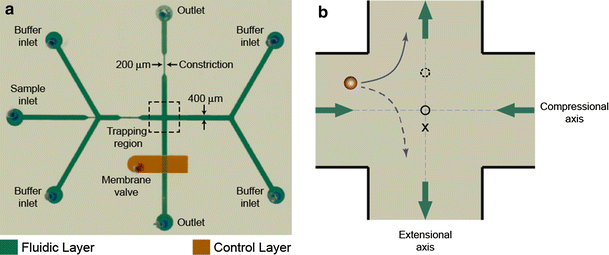 Characterizing Performance