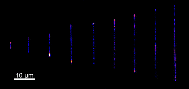 ssDNA