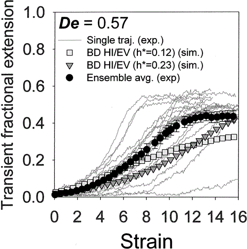 Hydrodynamics Extensional Flow