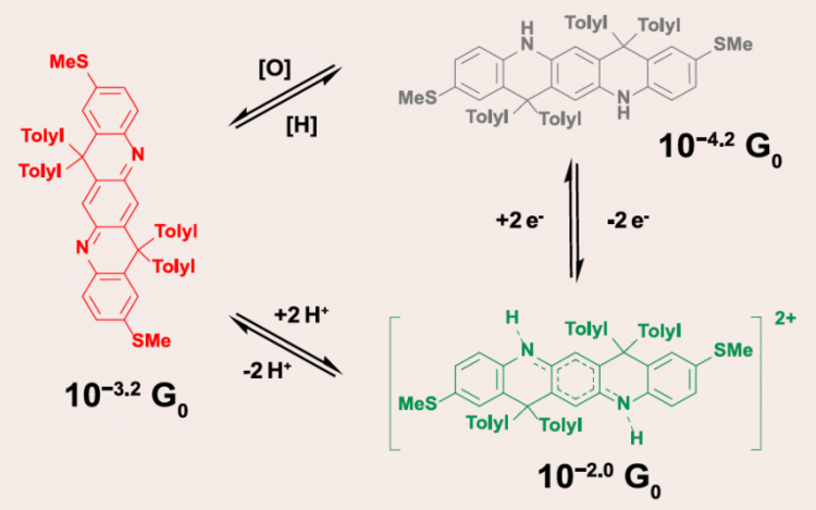 Ladder-type Conjugated Molecules as Robust Multi-state Single-Molecule Switches