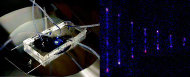 Microfluidic DNA