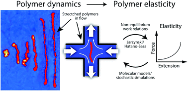 Elasticity