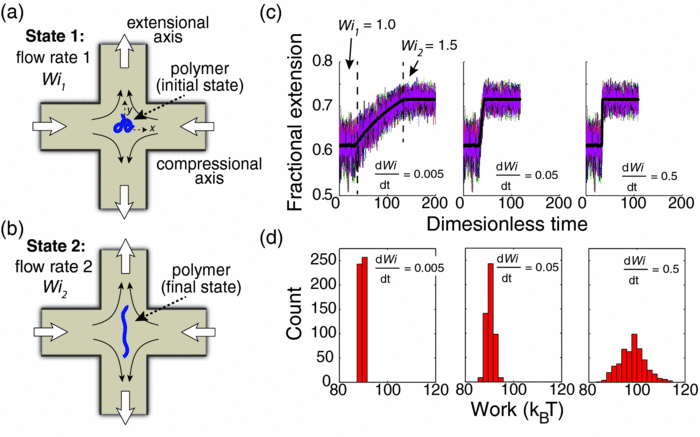 Nonequilibrium Thermodynamics