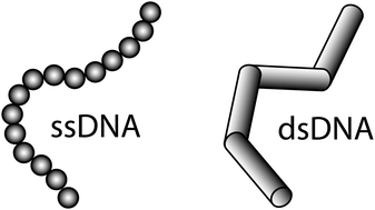 Model Systems