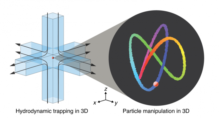 3D manipulation and dynamics of soft materials in 3D flows