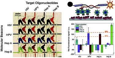 Multiplexed Detection