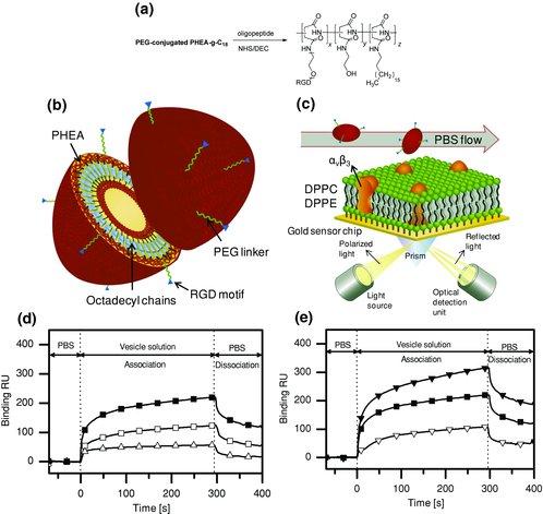 Polymersomes