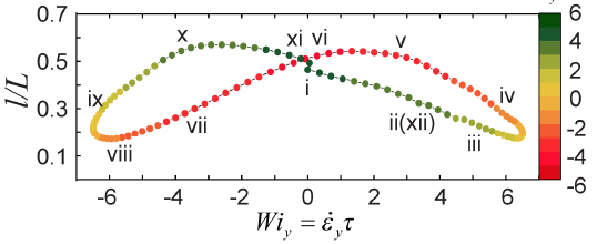Single polymer dynamics in oscillatory flows