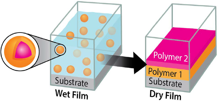 Designing Multicomponent Polymer Colloids for Self-stratifying Films