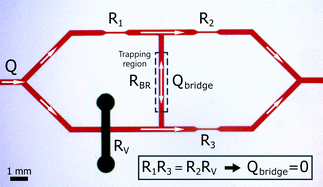 Wheatstone