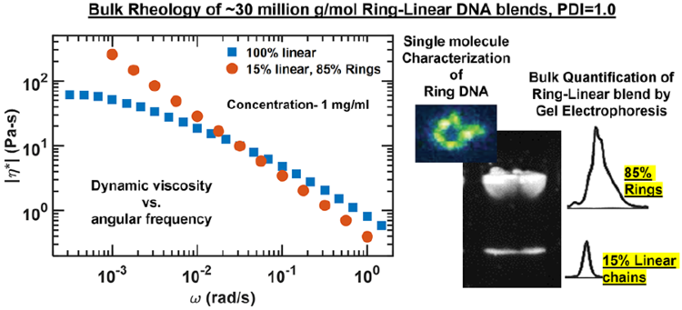 Rheology of Entangled Solutions of Ring-linear DNA Blends