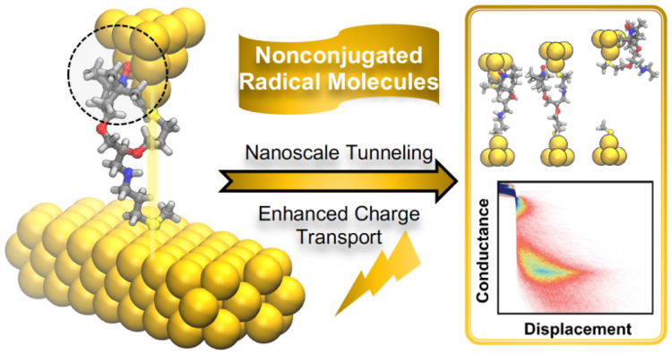 Enhanced Electron Transport in Nonconjugated Radical Oligomers Occurs by Tunneling