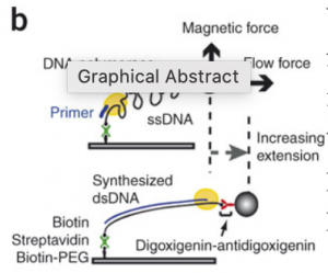 Nat Methods