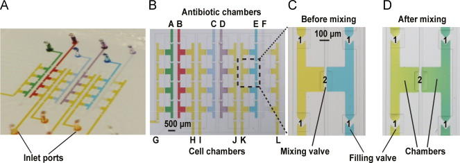 Multiplexed Platform