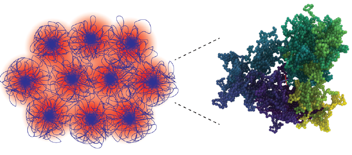 Unexpected Slow Relaxation Dynamics in Pure Ring Polymers Arise from Intermolecular Interactions