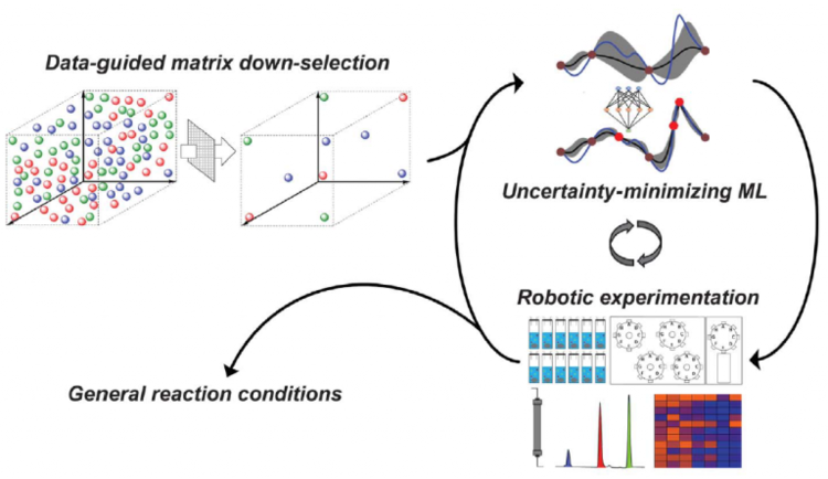 Closed-loop Optimization of General Reaction Conditions