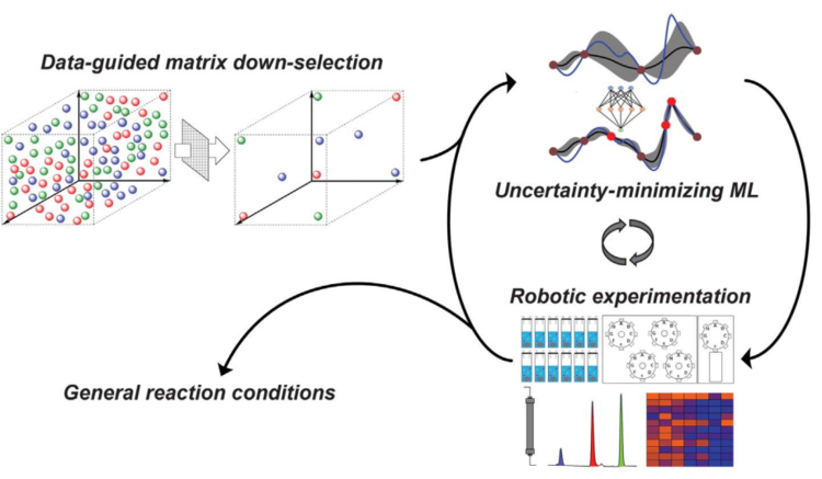 Closed-Loop Optimization of Reaction Conditions