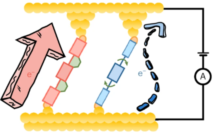 natchem image