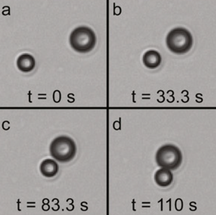 Stokes trap for multiplexed particle manipulation